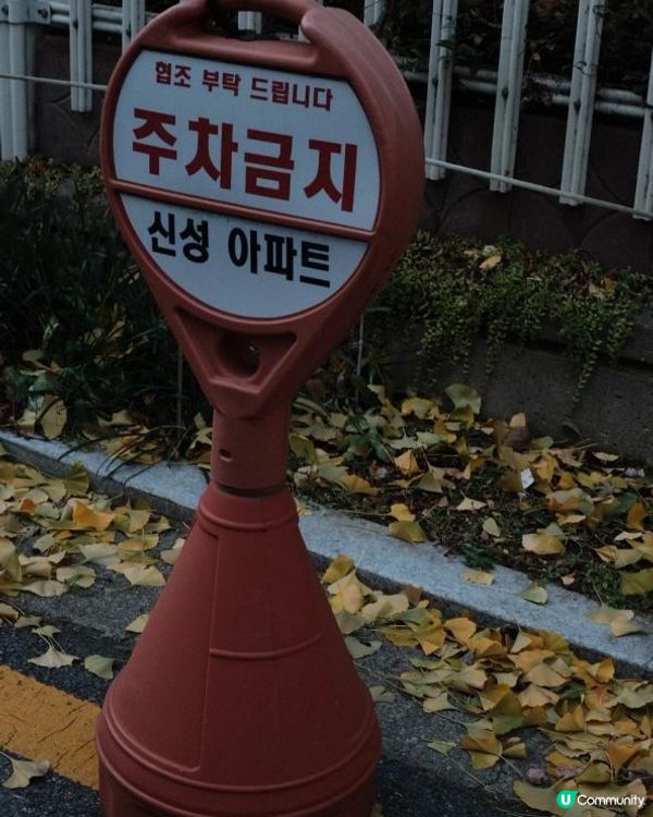 剛啱由韓國返嚟，話你知韓國嘅現狀同啲要留意嘅嘢，方便大家之後去首爾玩得更盡興！不過以下嘅tips未必完整，歡迎大家補充呀！⬇️