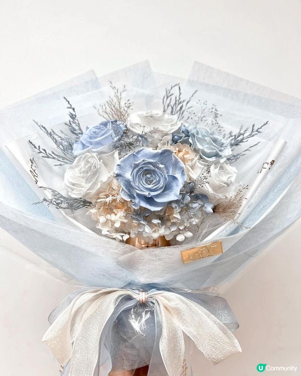 Frozen Land準備開幕｜一起進入冰雪奇緣世界❄️☃️