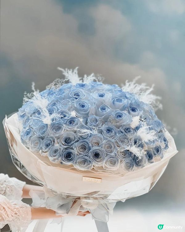 Frozen Land準備開幕｜一起進入冰雪奇緣世界❄️☃️