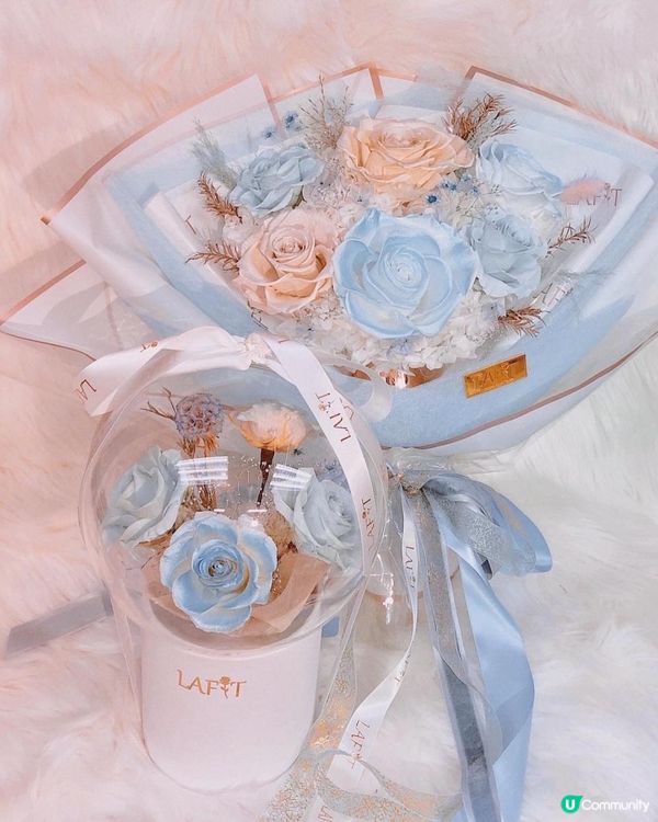 Frozen Land準備開幕｜一起進入冰雪奇緣世界❄️☃️