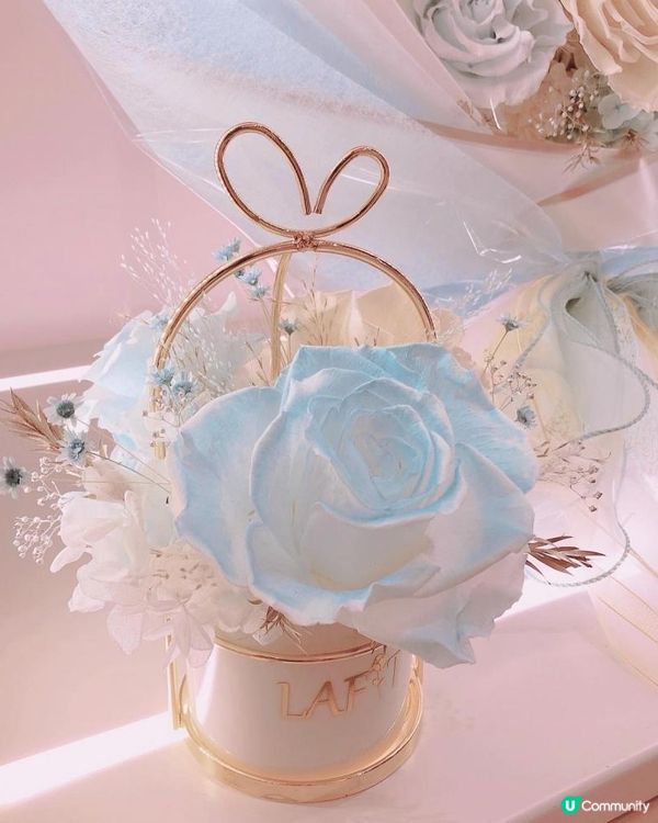 Frozen Land準備開幕｜一起進入冰雪奇緣世界❄️☃️