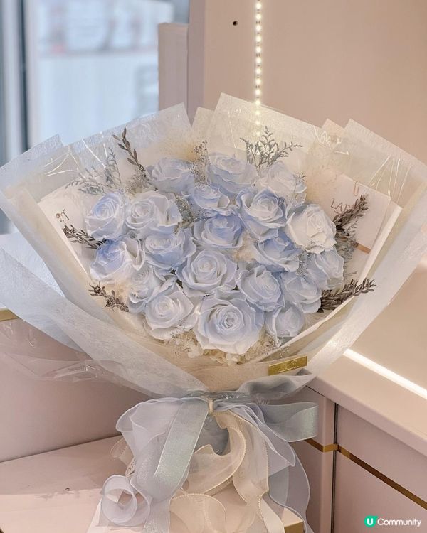 Frozen Land準備開幕｜一起進入冰雪奇緣世界❄️☃️