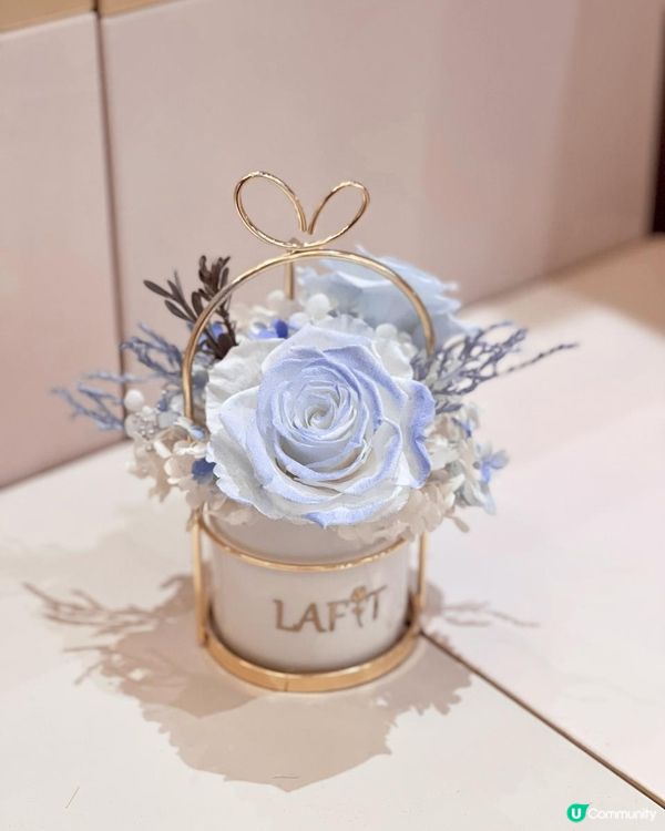 Frozen Land準備開幕｜一起進入冰雪奇緣世界❄️☃️