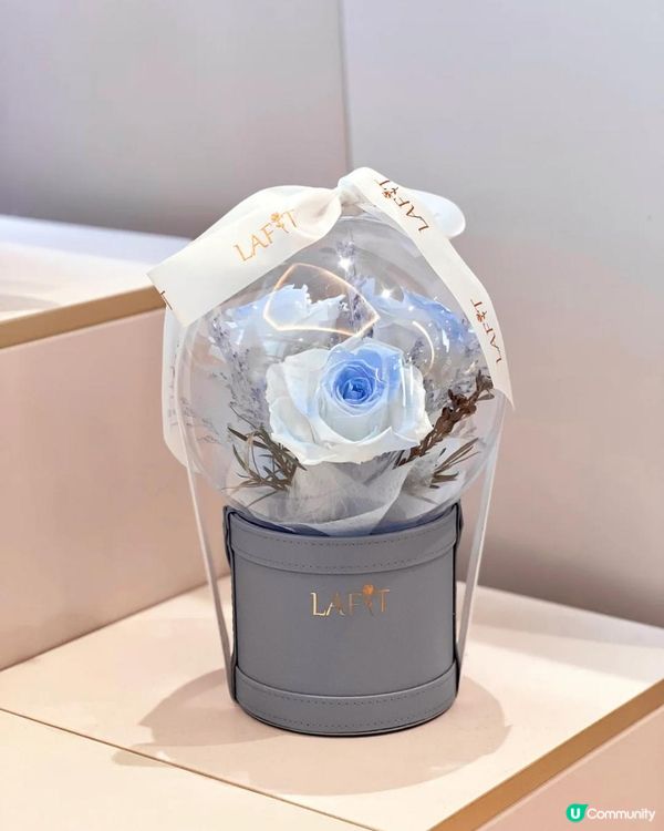 Frozen Land準備開幕｜一起進入冰雪奇緣世界❄️☃️