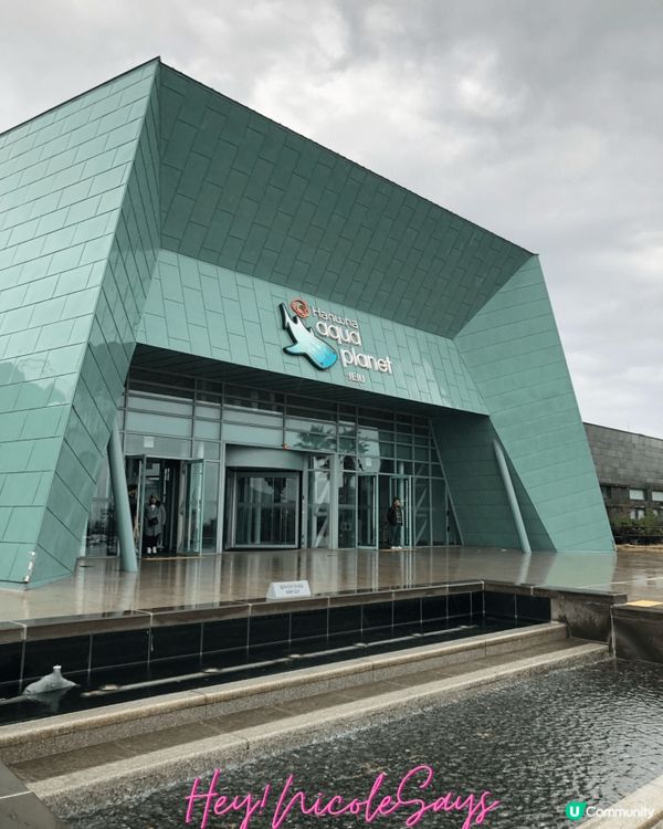 濟州Aqua Planet海洋世界︳下雨天去水族館玩透透