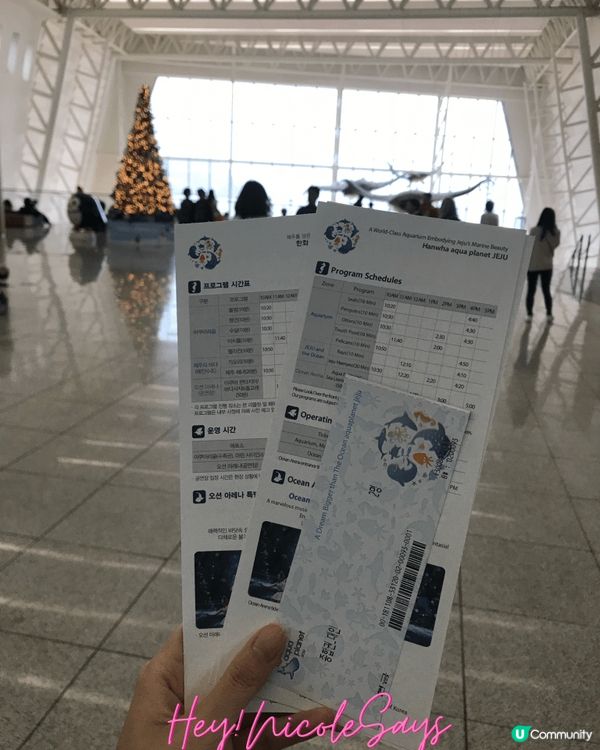 濟州Aqua Planet海洋世界︳下雨天去水族館玩透透