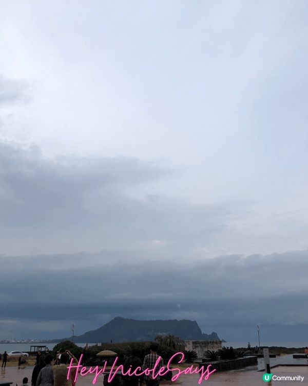 濟州Aqua Planet海洋世界︳下雨天去水族館玩透透