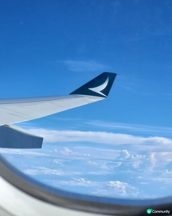 【飛機餐攻略2023✈️】國泰20款隱藏飛機餐選擇 | 低卡路里餐都有 | 優先上餐✨️