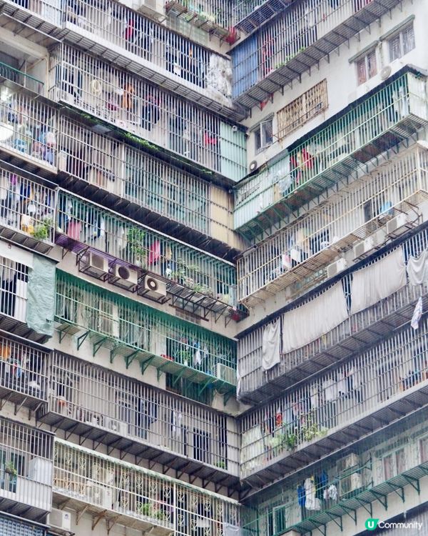 深度澳門遊！走進筷子基來一場民生在地行