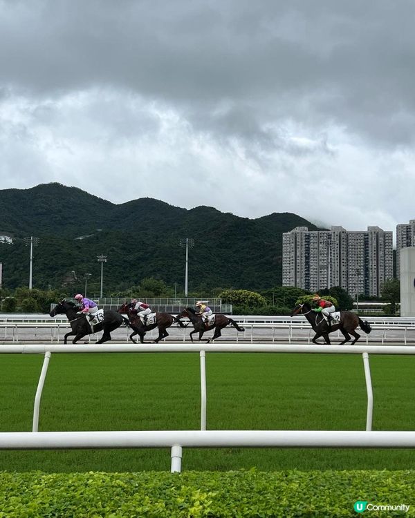 又到9月！馬季開鑼！