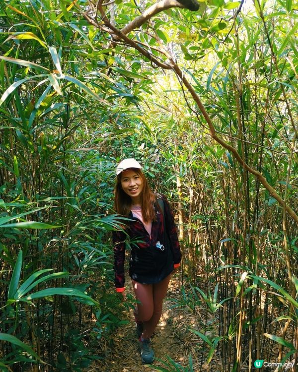 [行山要打卡]49 - 鶴咀一日遊