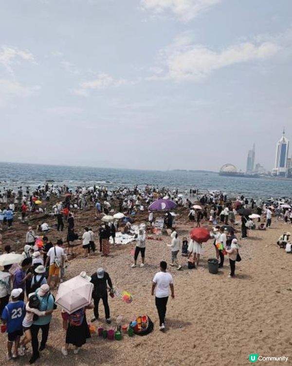 【趕海季節小攻略: 棧橋VS小青島】