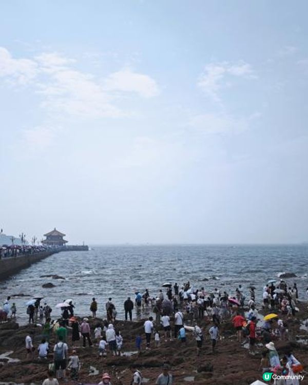 【趕海季節小攻略: 棧橋VS小青島】