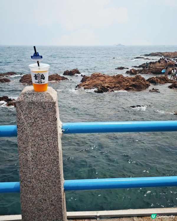 【趕海季節小攻略: 棧橋VS小青島】