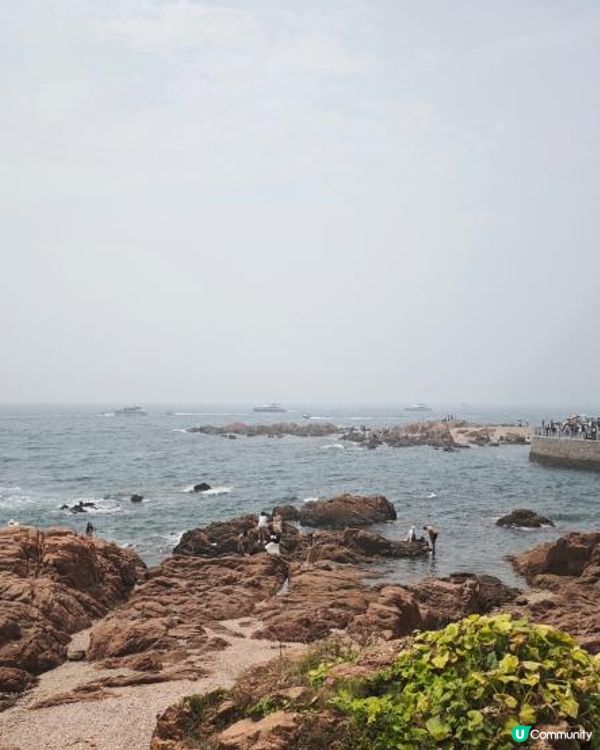 【趕海季節小攻略: 棧橋VS小青島】