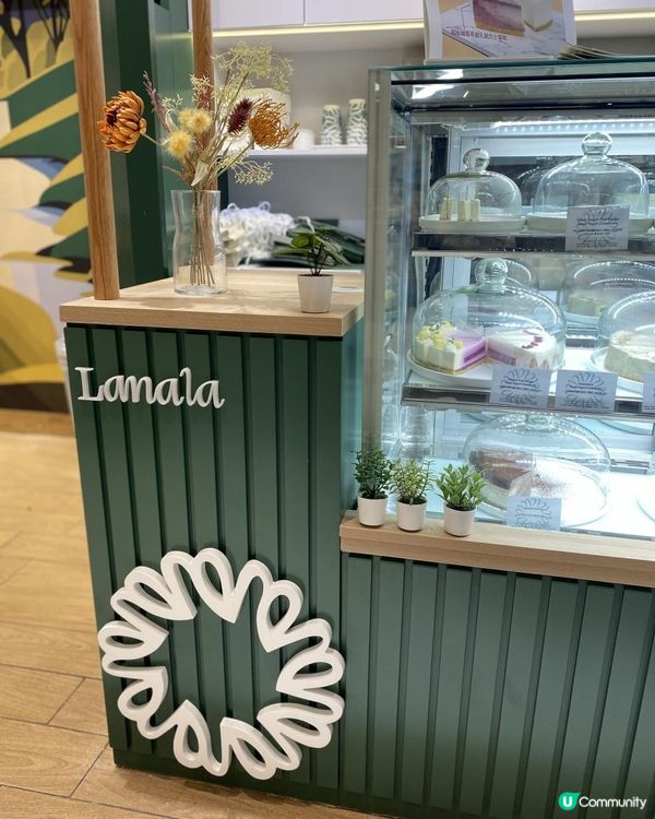 超級雜莓希臘乳酪芝士蛋糕🍓🫐