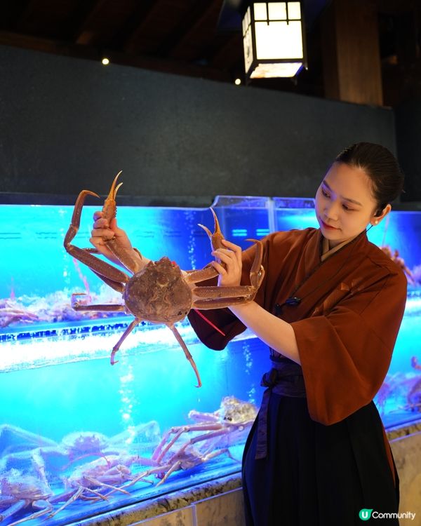 深圳探店 - 蟹道