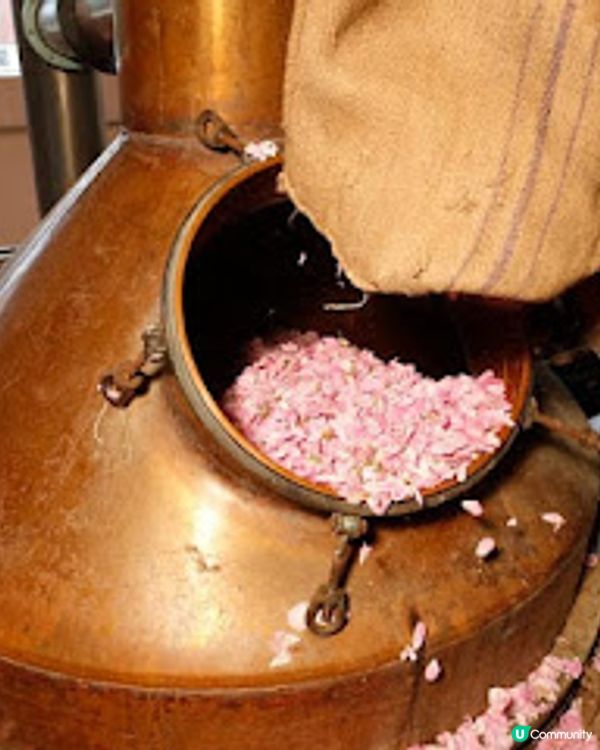 gulsha 晨露純玫瑰活肌水 香氣療癒 一瓶多用：爽膚、補濕及定妝