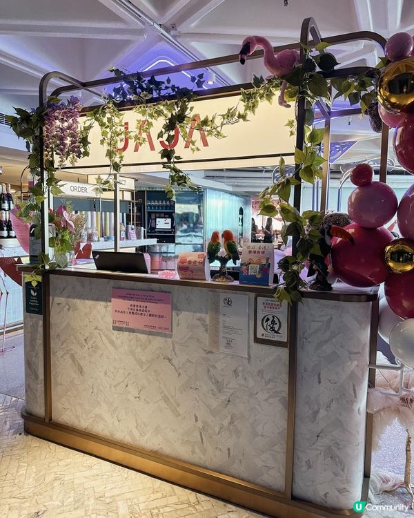 【🎀粉熊打卡點🧸】