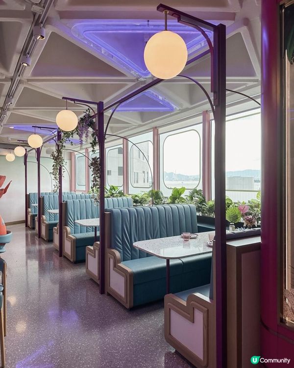 【🎀粉熊打卡點🧸】