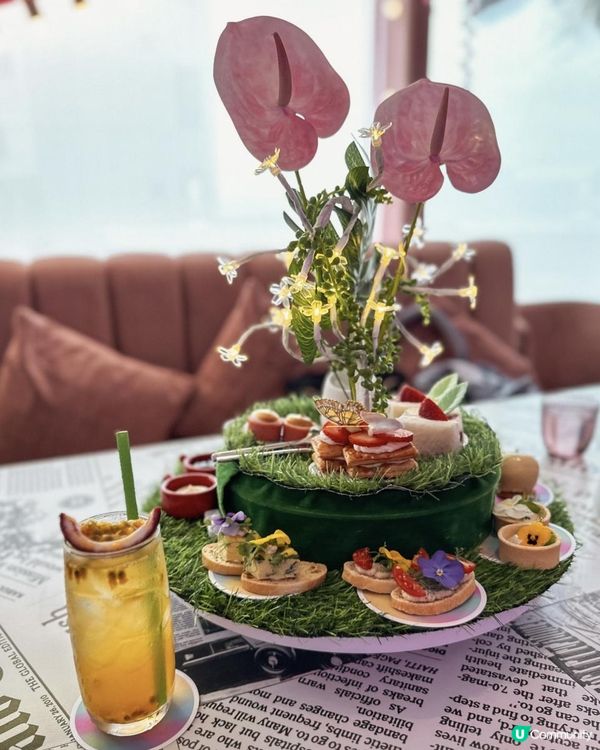 【🎀粉熊打卡點🧸】