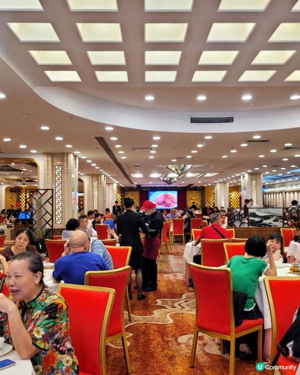 《環迴深圳》回憶是美好 | 現實係殘酷 @ 鳳凰樓 ( 深圳福田區華強北路聖廷苑酒店 )