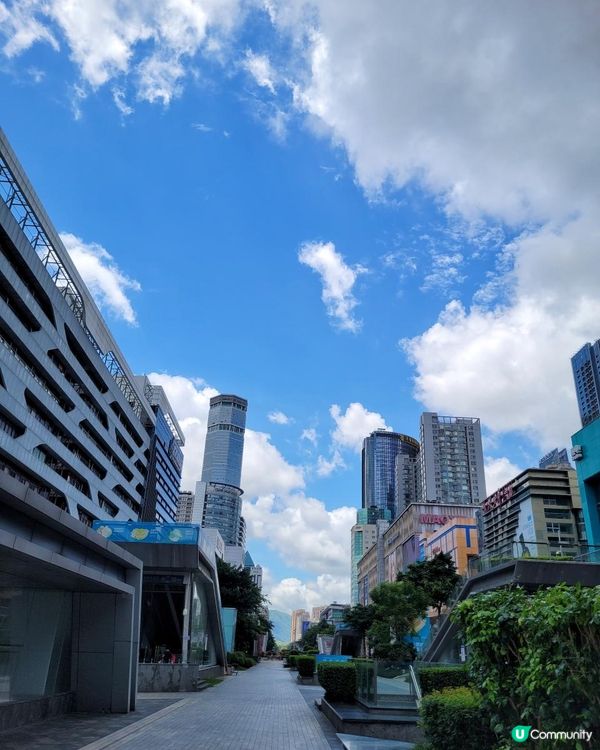 《環迴深圳》回憶是美好 | 現實係殘酷 @ 鳳凰樓 ( 深圳福田區華強北路聖廷苑酒店 )