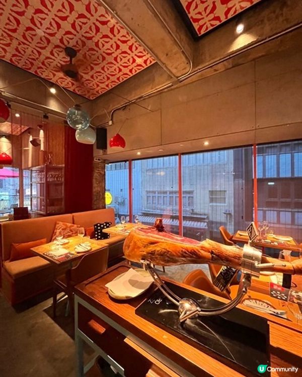 🌟西班牙風情夜│La Paloma