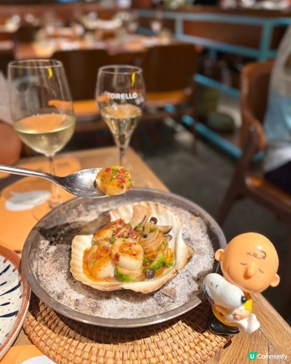 🌟西班牙風情夜│La Paloma