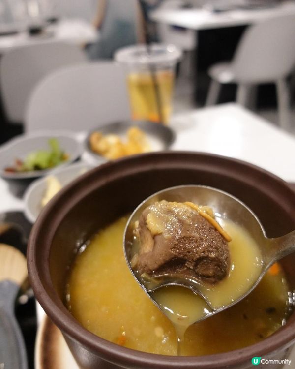 🌶️雞煲海鮮火鍋六重奏🍲