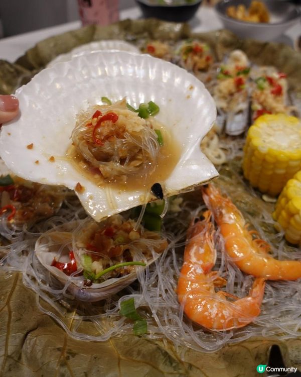 🌶️雞煲海鮮火鍋六重奏🍲