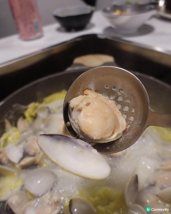 🌶️雞煲海鮮火鍋六重奏🍲