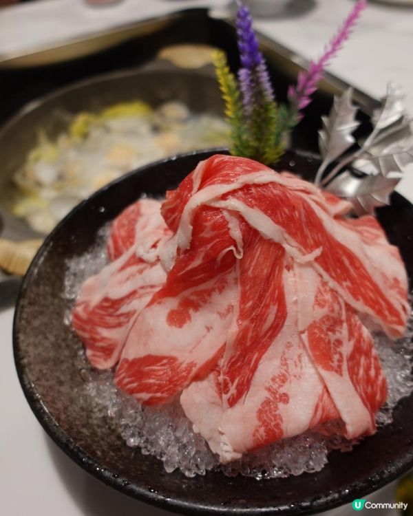 🌶️雞煲海鮮火鍋六重奏🍲