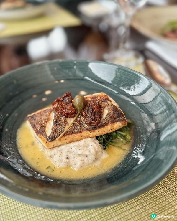 【☀️消暑涼爽飲咖啡🥤】