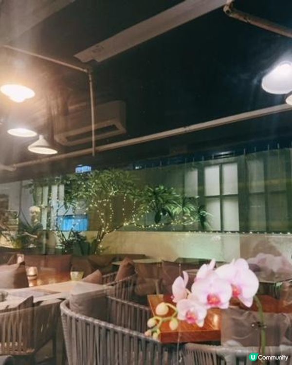 高質隱世樓上Café @cafe zense