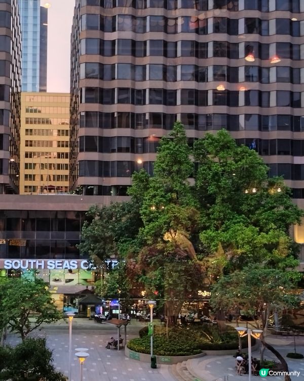 從尖東方向看海旁景色，到市政局百週年紀念花園是一個好選擇。