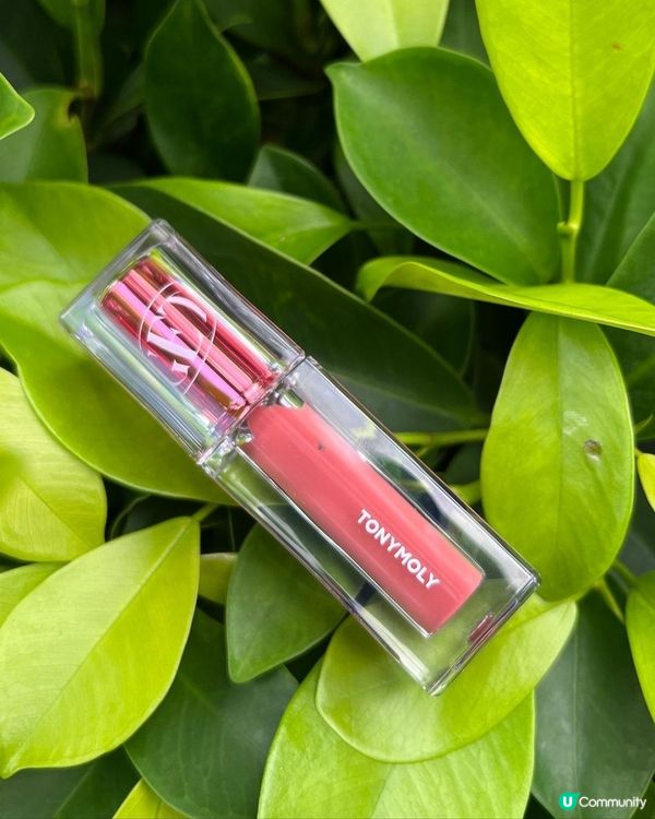 美妝分享｜💄Get it 水光柔霧唇彩｜Tonymoly