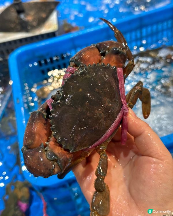 盒馬本週的這些新品真的好好吃🤤