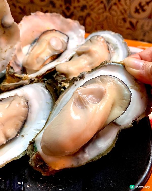 北上深圳．食蠔去🦪❣️