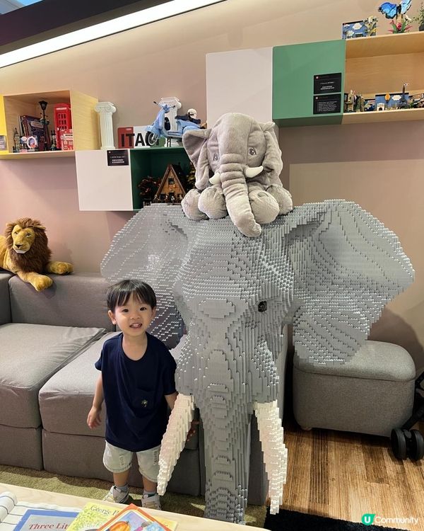 【 LEGO迷必去❗️家點樂高®️風 】