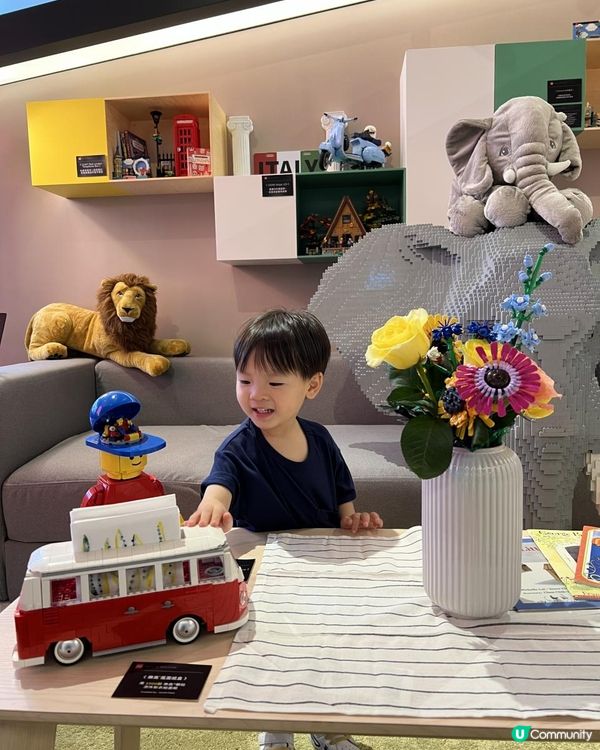 【 LEGO迷必去❗️家點樂高®️風 】