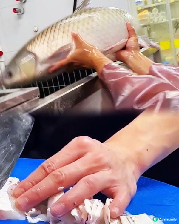 發現超新鮮，現點現宰脆肉鯇火鍋