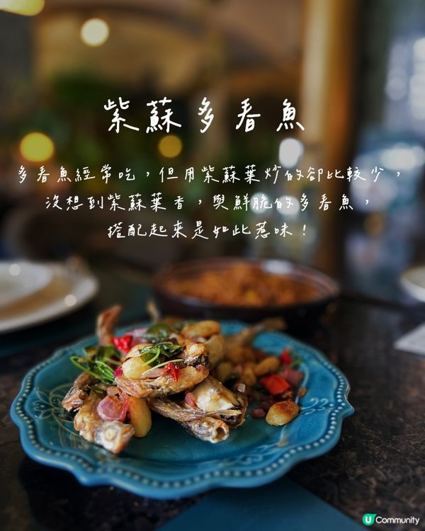 深圳約會必備💖人均150超抵食💰半放題牛排西餐廳‼️