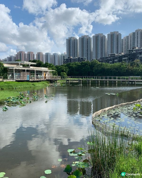 天水圍濕地公園