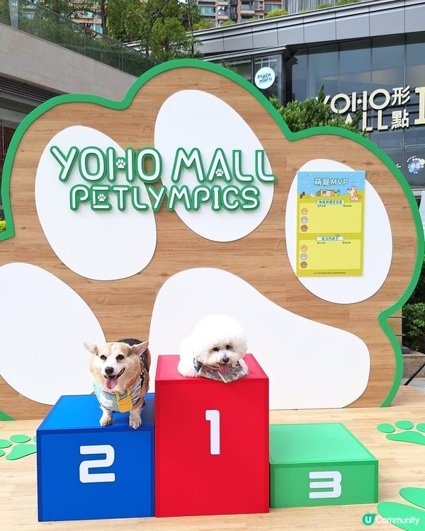 萌寵奥運