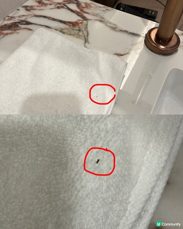 珠海人氣網紅酒店實測🪄人均$1XX