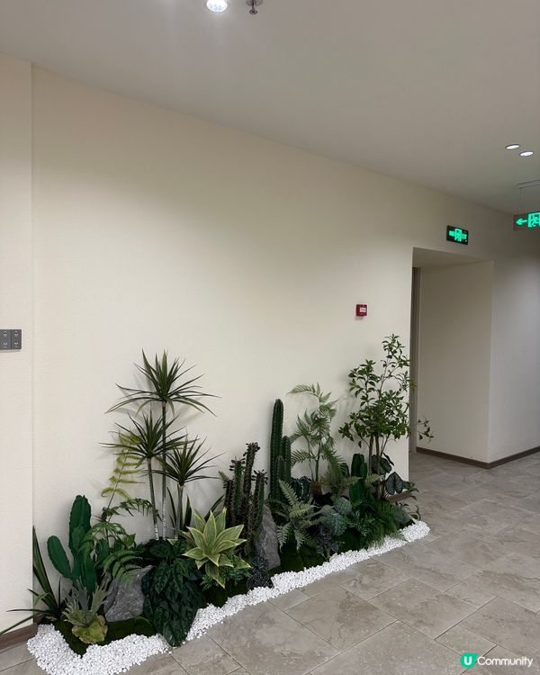 珠海人氣網紅酒店實測🪄人均$1XX