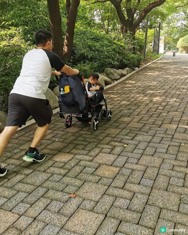 開關後爸爸去韓國做搬運工，在韓國食拉絲甜品，在台灣貓村睇貓貓...