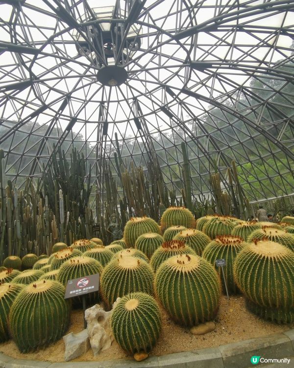 深圳仙湖植物園：非常大的植物園，建議要坐園區的巴士上山頂，由...
