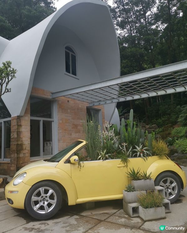 深圳仙湖植物園：非常大的植物園，建議要坐園區的巴士上山頂，由...